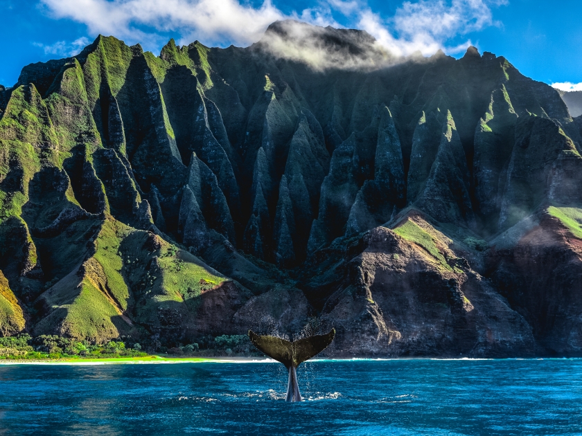 Hawaii, Kauaii, Nā Pali Coast, North America, United States, Whale Watching
