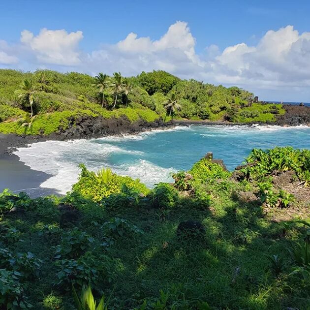 Road to Hana Luxury Tour with 2 Swim Stops