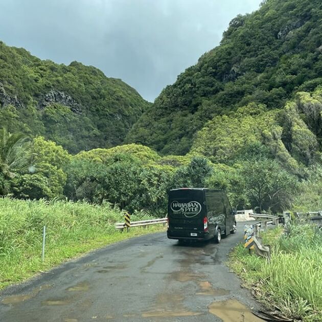 Road to Hana Luxury Tour with 2 Swim Stops