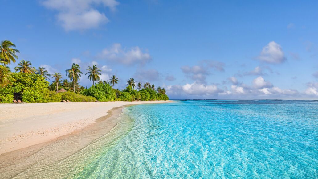 Amazing,Nature,Beach,With,Palm,Trees,And,Moody,Sky.,Summer