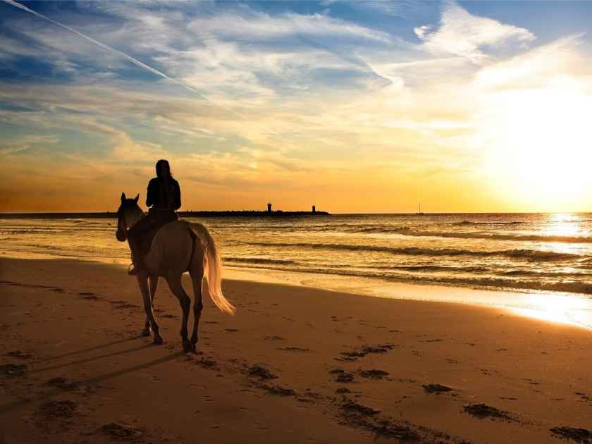 Horseback Riding Oahu