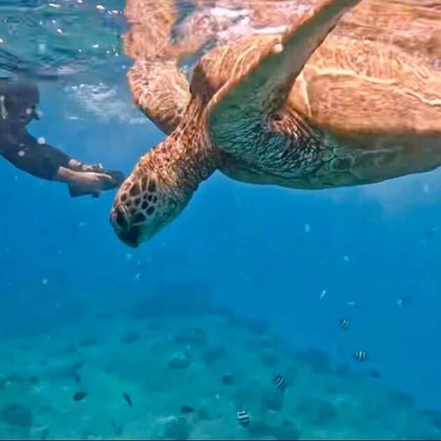 Island Cruzin Hawaii Jet Snorkel Oahu