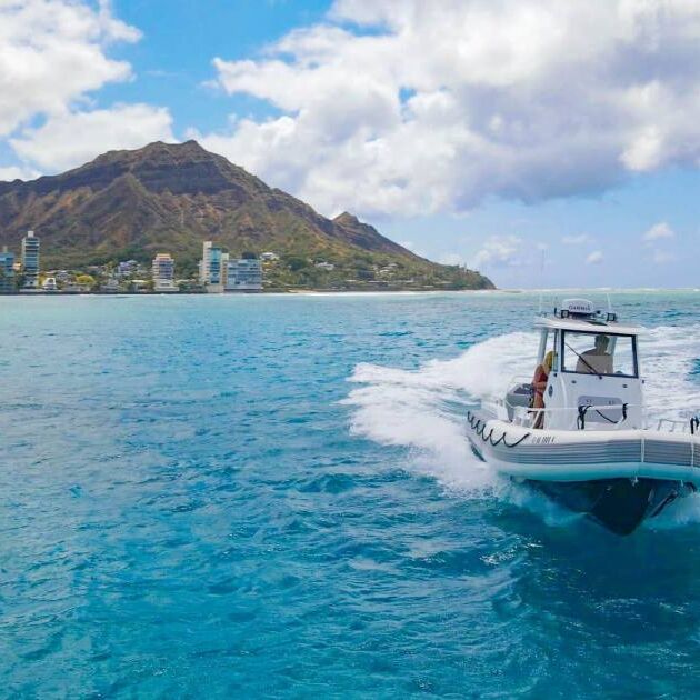 Semi-Private Waikiki Turtle Snorkel Tour