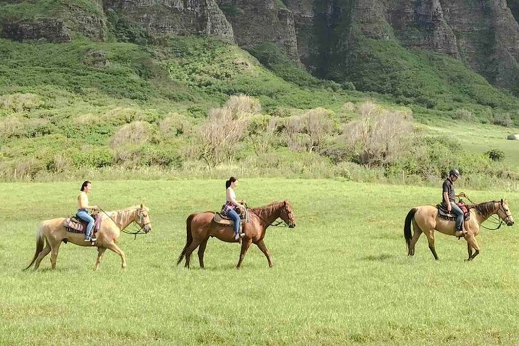 Best Kualoa Ranch Tours