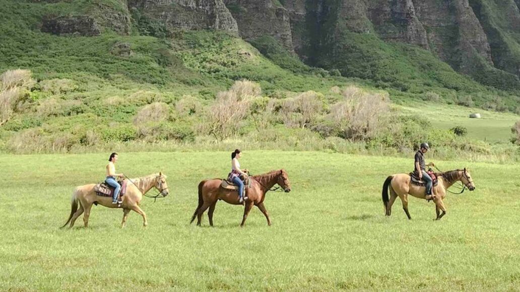 Best Kualoa Ranch Tours