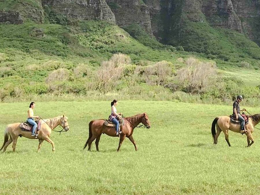 Best Kualoa Ranch Tours