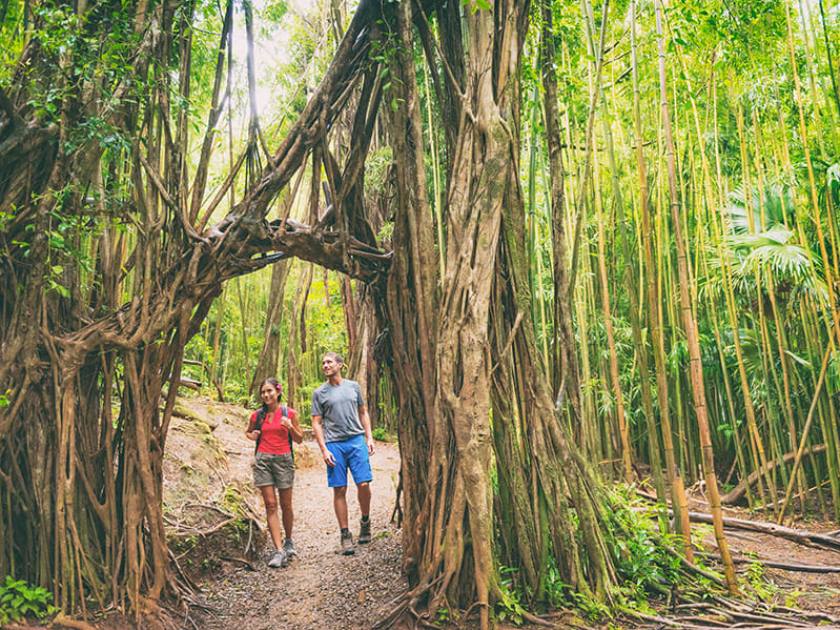 Manoa Falls