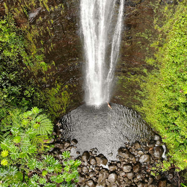 Manoa Falls Shuttle from Waikiki - Waterfall Hike Adventure