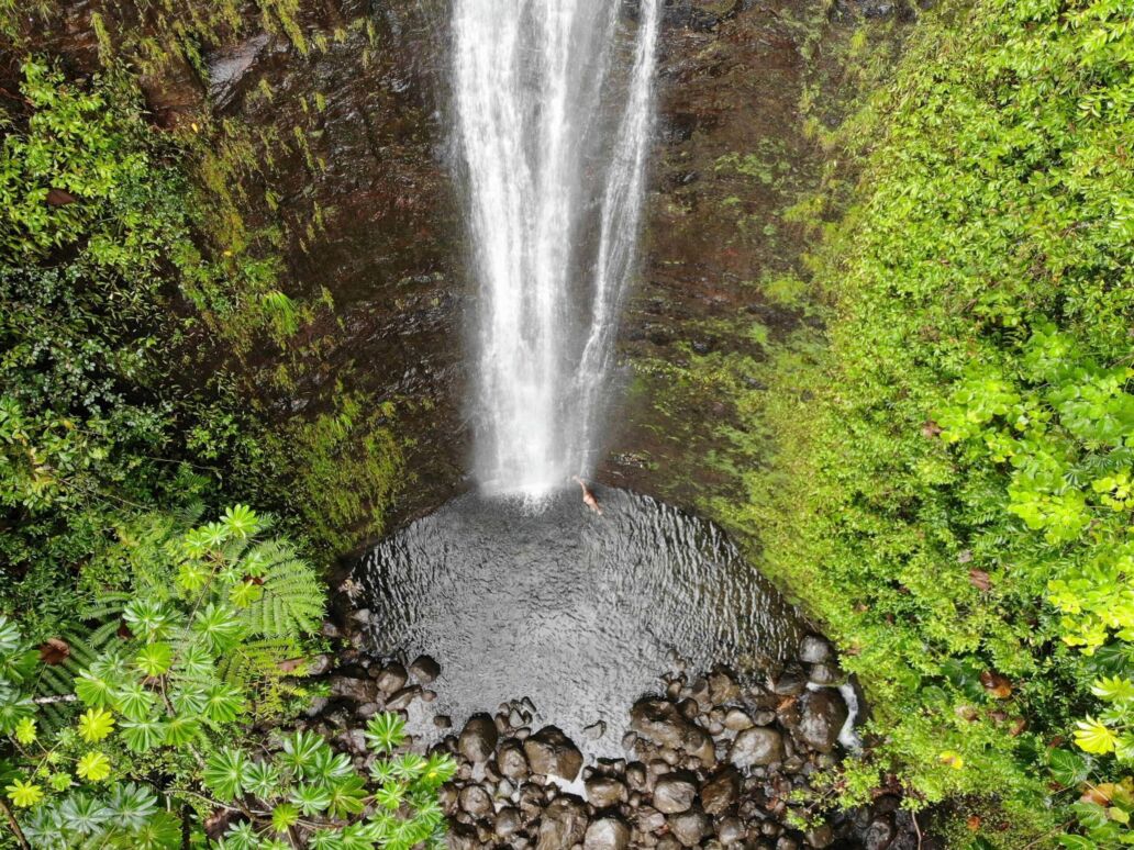 Manoa Falls