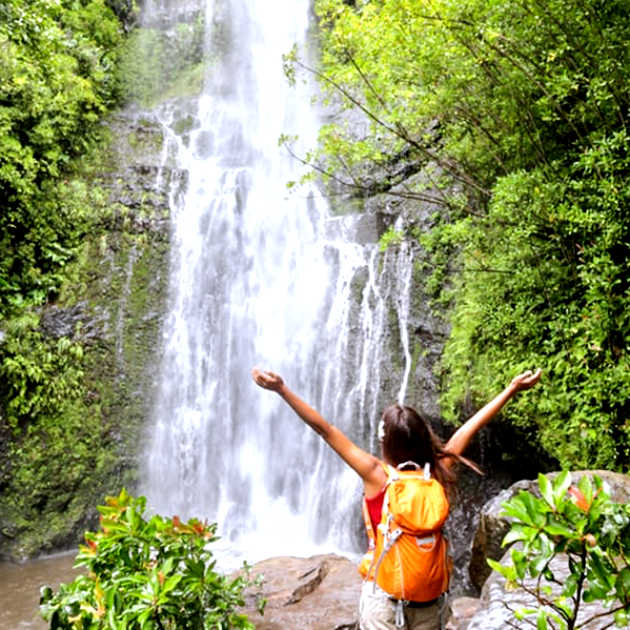 Maui Rainforest Trails & Waterfall Swim