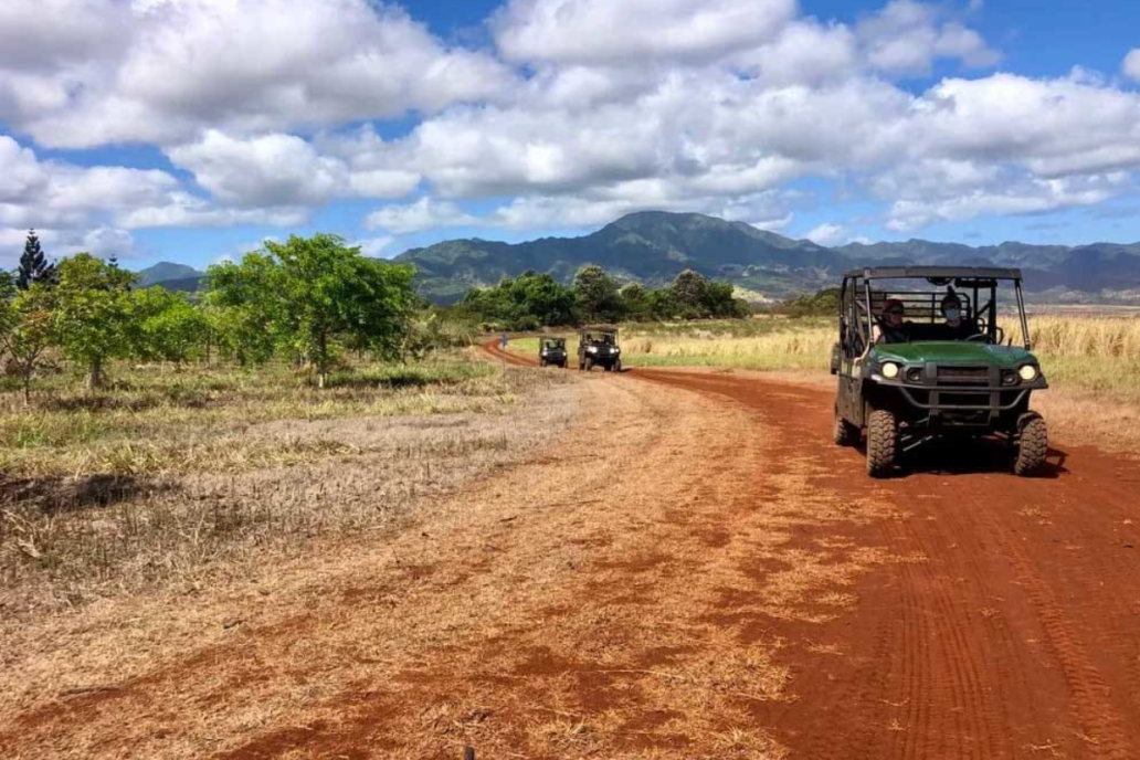 North Shore Eco Tours