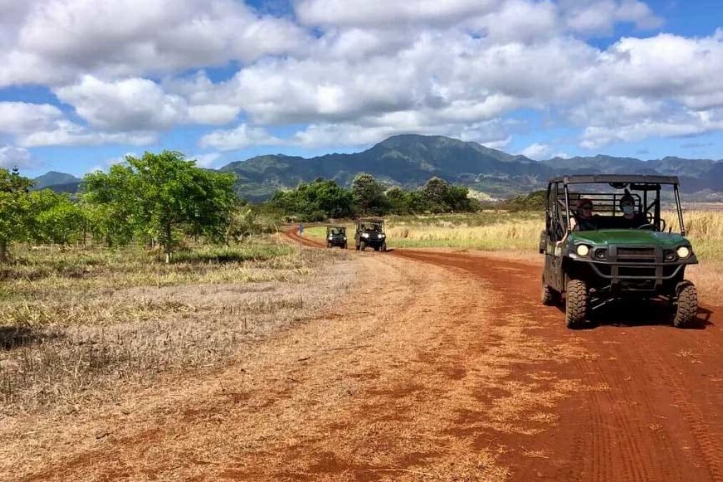 North Shore Eco Tours