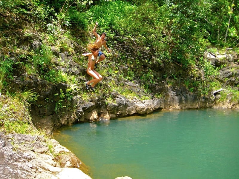 North Shore Eco Tours - Haleiwa Trails