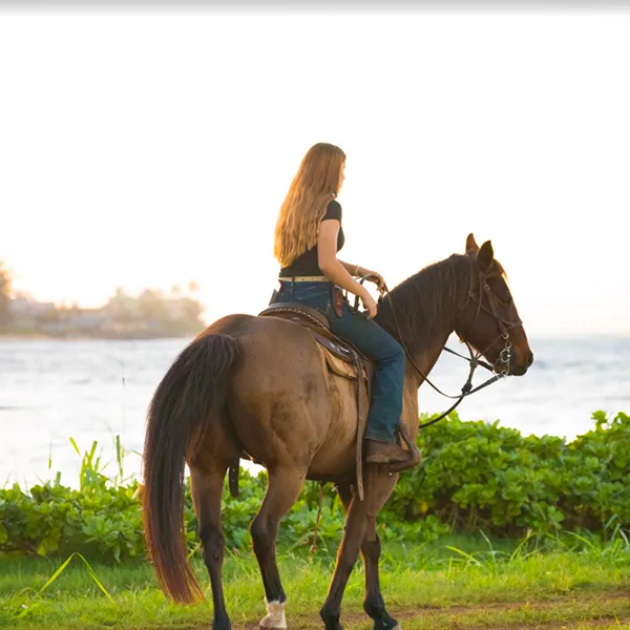 Oahu Horseback Beachfront Ocean View Trail Rides