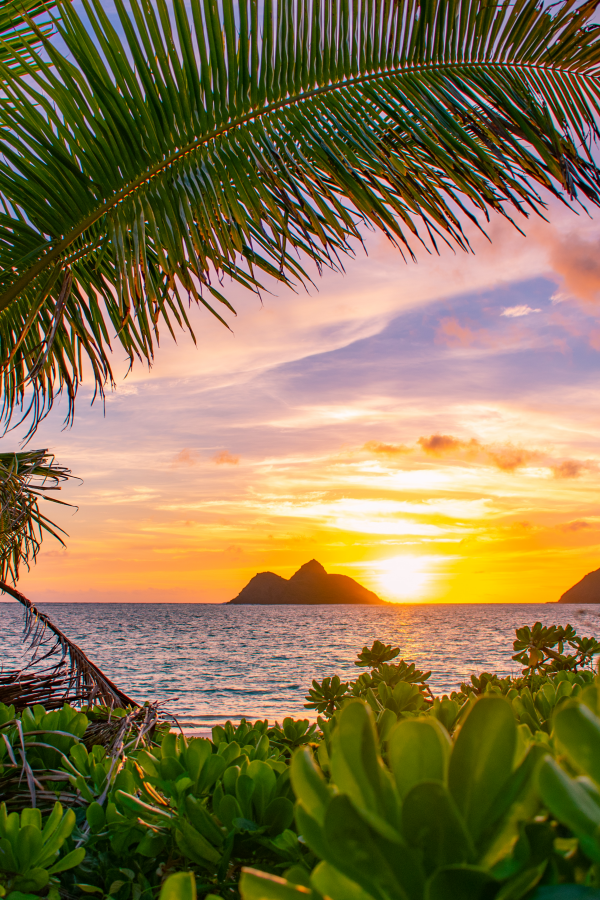 boat tours hawaii