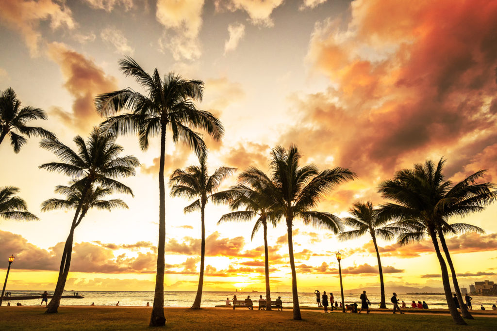 Depart from the beach at the heart of Waikiki.