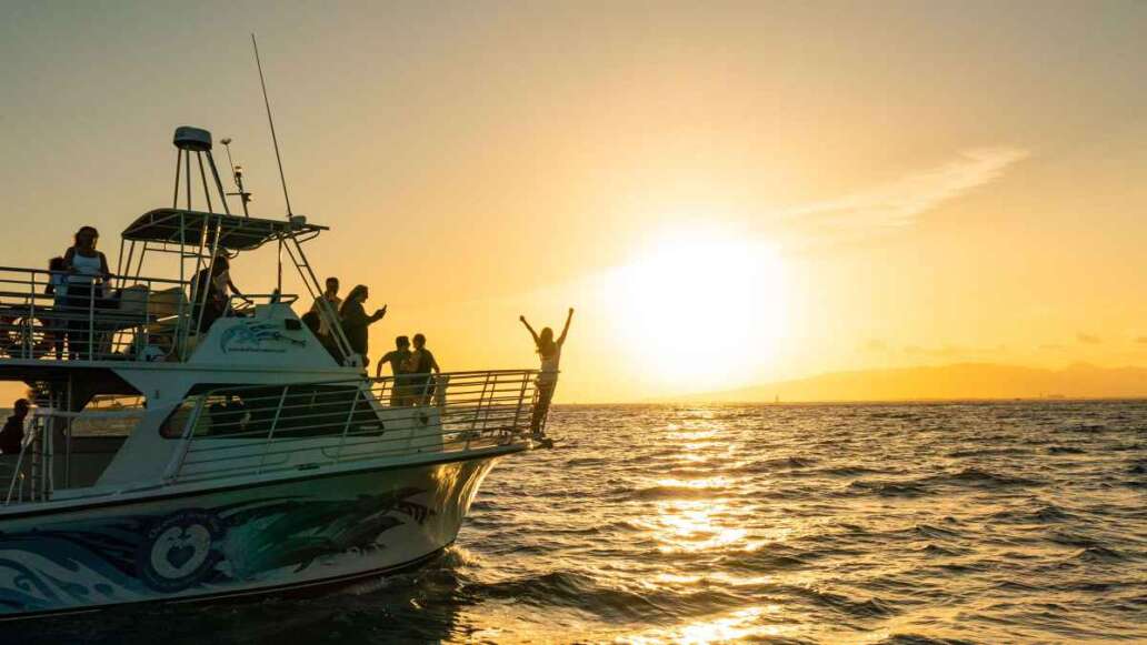 Ocean Journeys And You CreationsDolphins and You