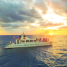 Ocean Joy Cruise