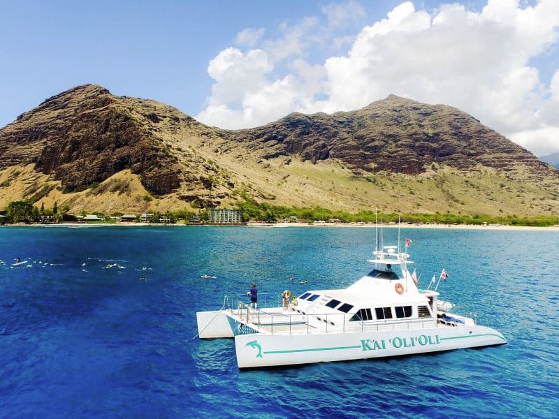 Ocean Joy Cruises