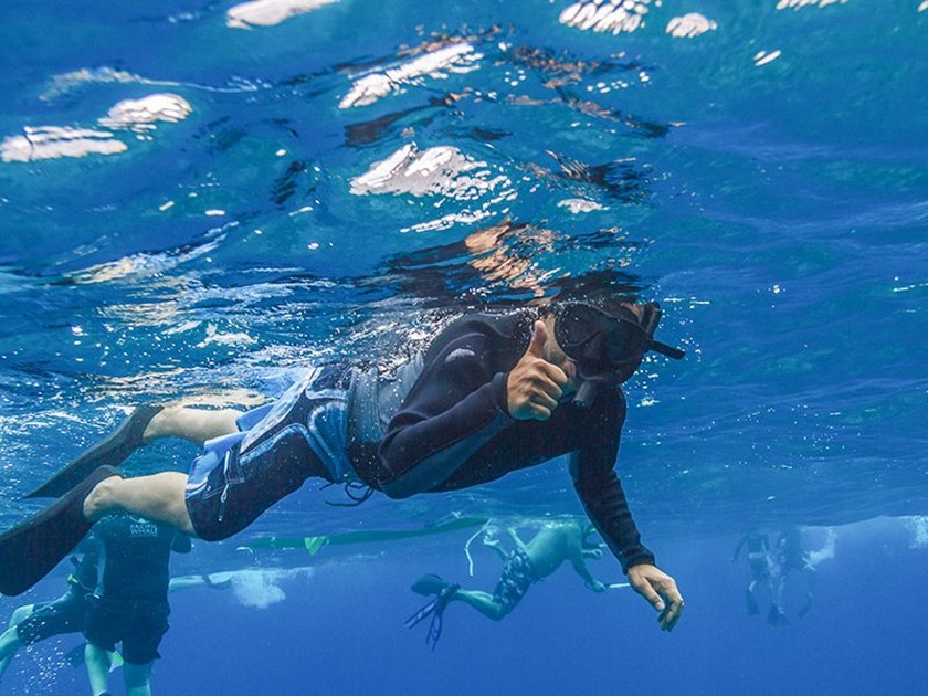Pacific Whale Foundation