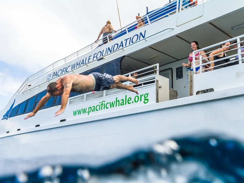 Pacific Whale Foundation