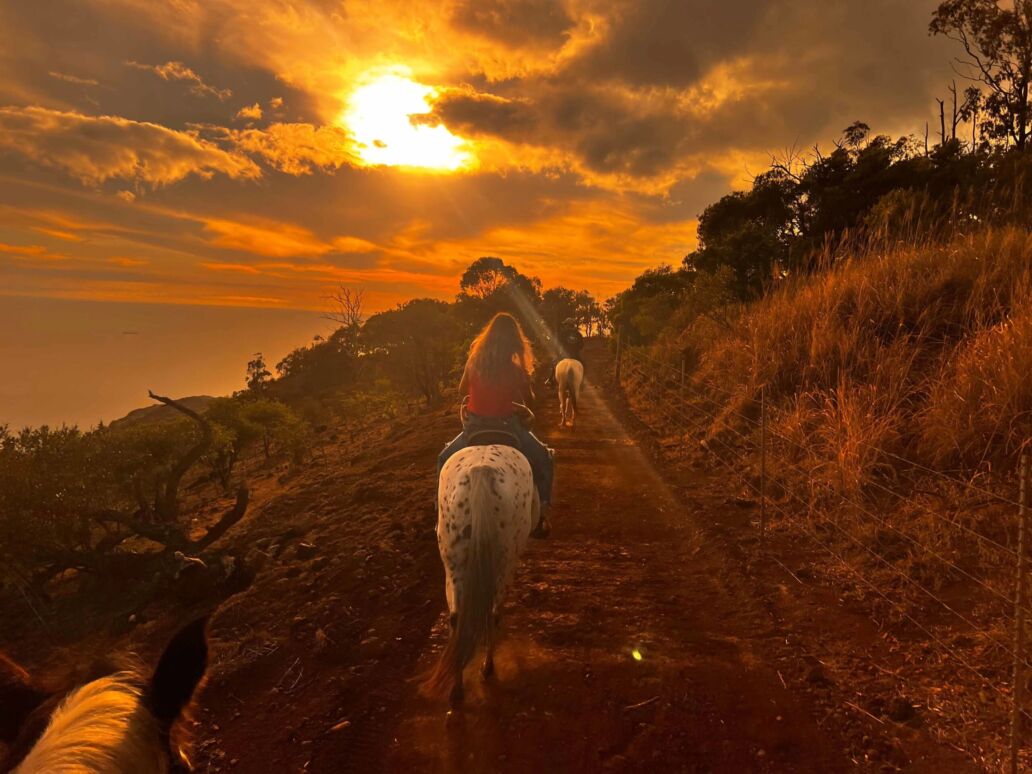 Palehua Trail Rides