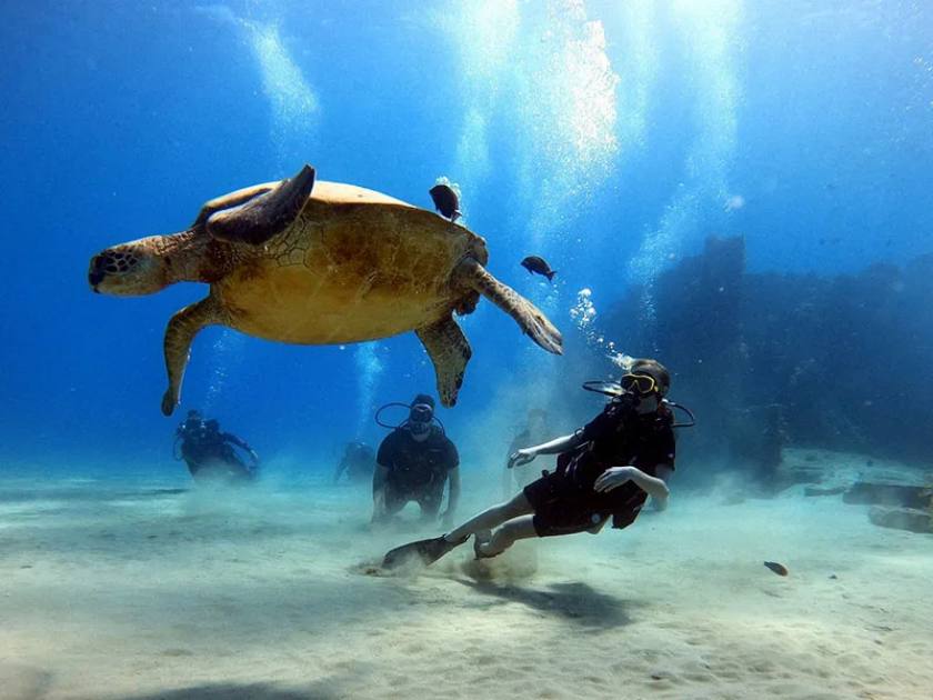 Ko Olina Scuba Diving Tour