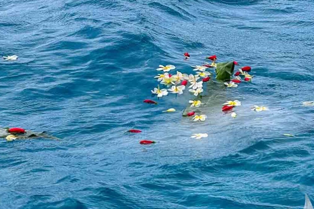 Eco-Friendly Ways to Scatter Ashes in Hawaii