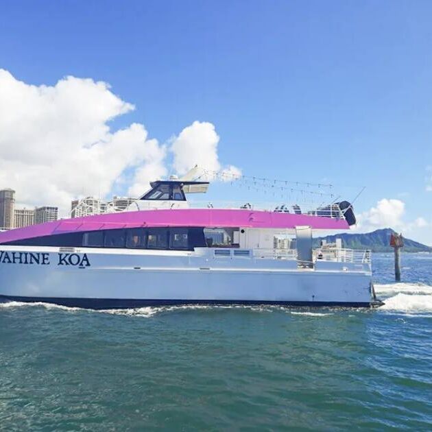 Sunset Booze Cruise & Friday Fireworks - Pink Sails Catamaran