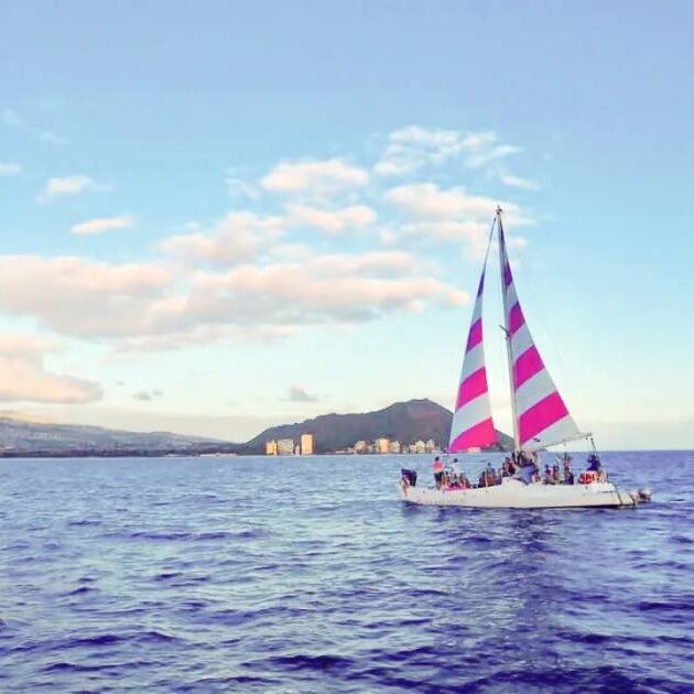 Sunset Cocktail & Ocean Swimming Cruise