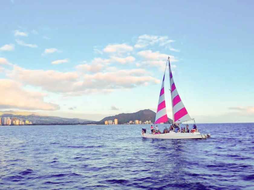 Sunset Cocktail & Ocean Swimming Cruise - Pink Sails Catamaran