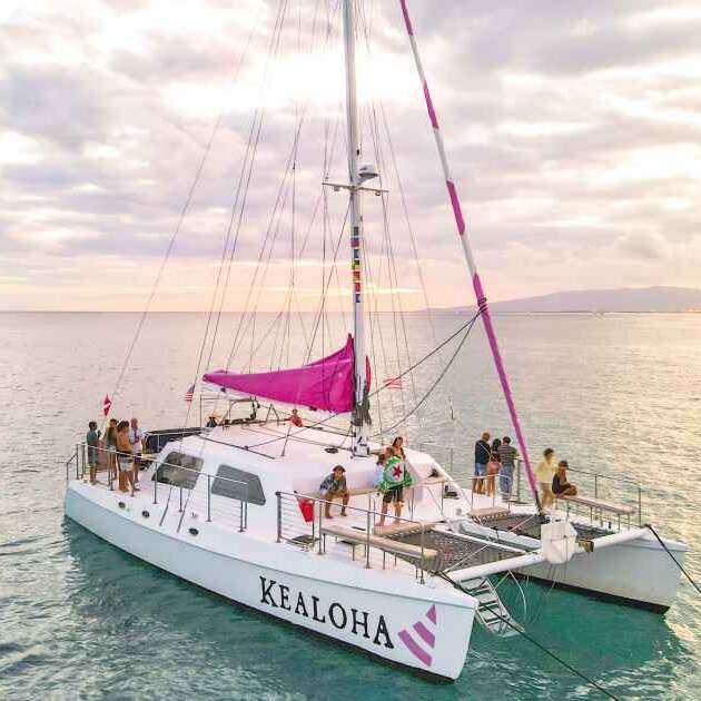 Sunset Cocktail & Ocean Swimming Cruise - Pink Sails Catamaran