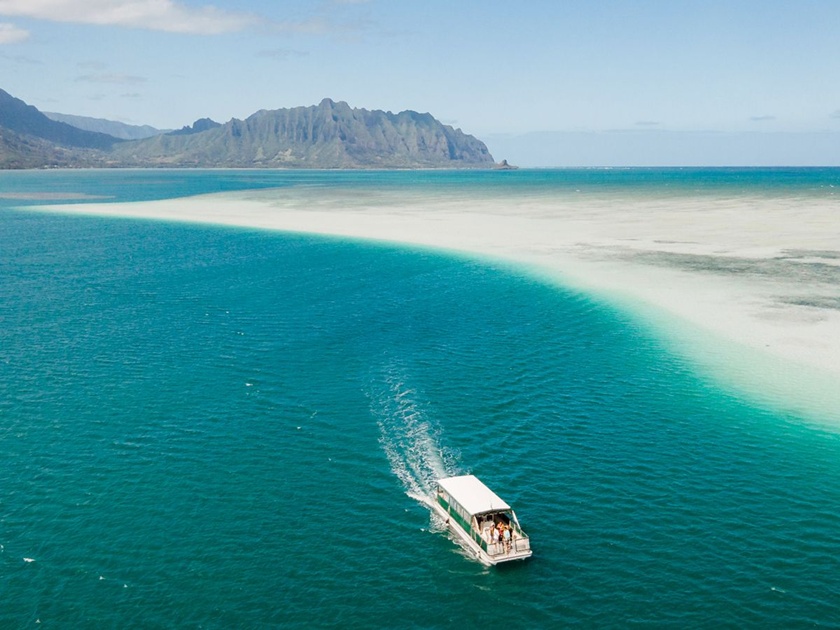 Best Kaneohe Sandbar Tours 2025: Captain Bruce vs KBOS vs Captain Bob