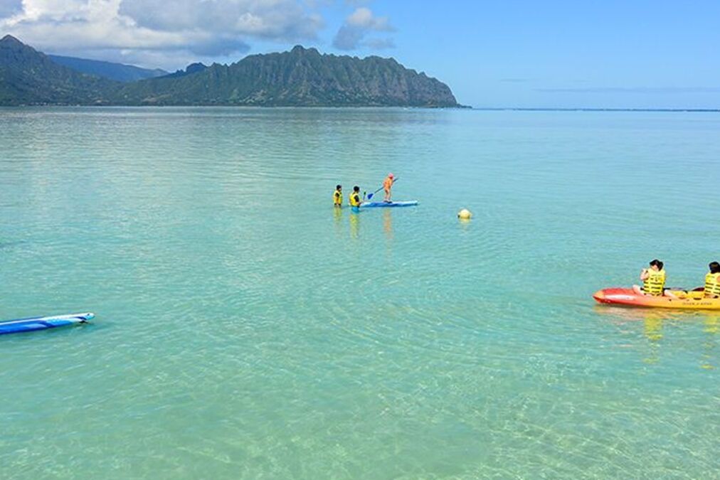 Kaneohe Sandbar Safety Guide: Currents, Marine Life & Water Safety