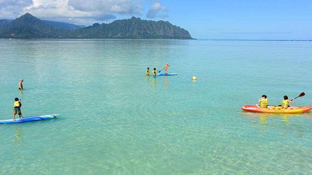 Kaneohe Sandbar Safety Guide: Currents, Marine Life & Water Safety