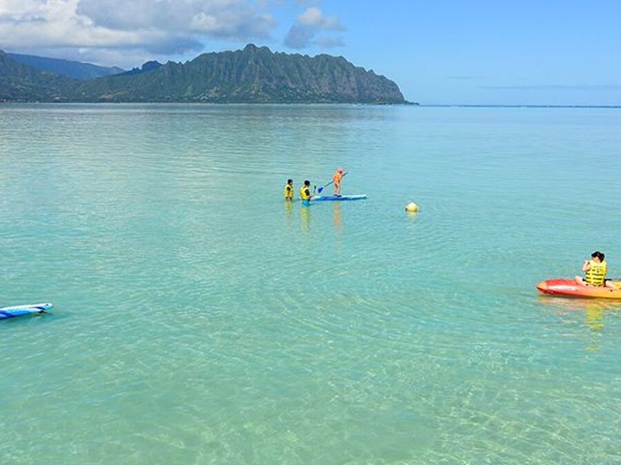 Kaneohe Sandbar Safety Guide: Currents, Marine Life & Water Safety