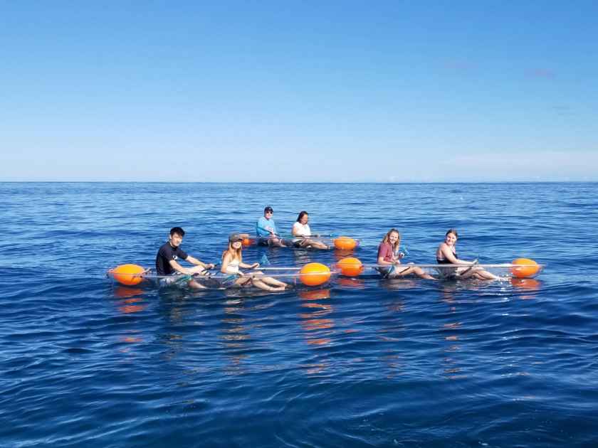 Kayaking Tour at Haleiwa Beach