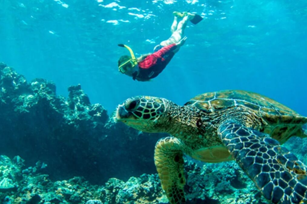 Sea Maui
