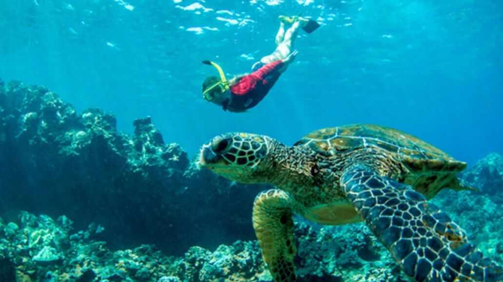Sea Maui