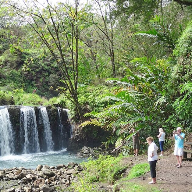 Famous Road to Hana Tour