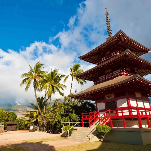 Maui Shore Excursions - Road to Hana Sightseeing Tour