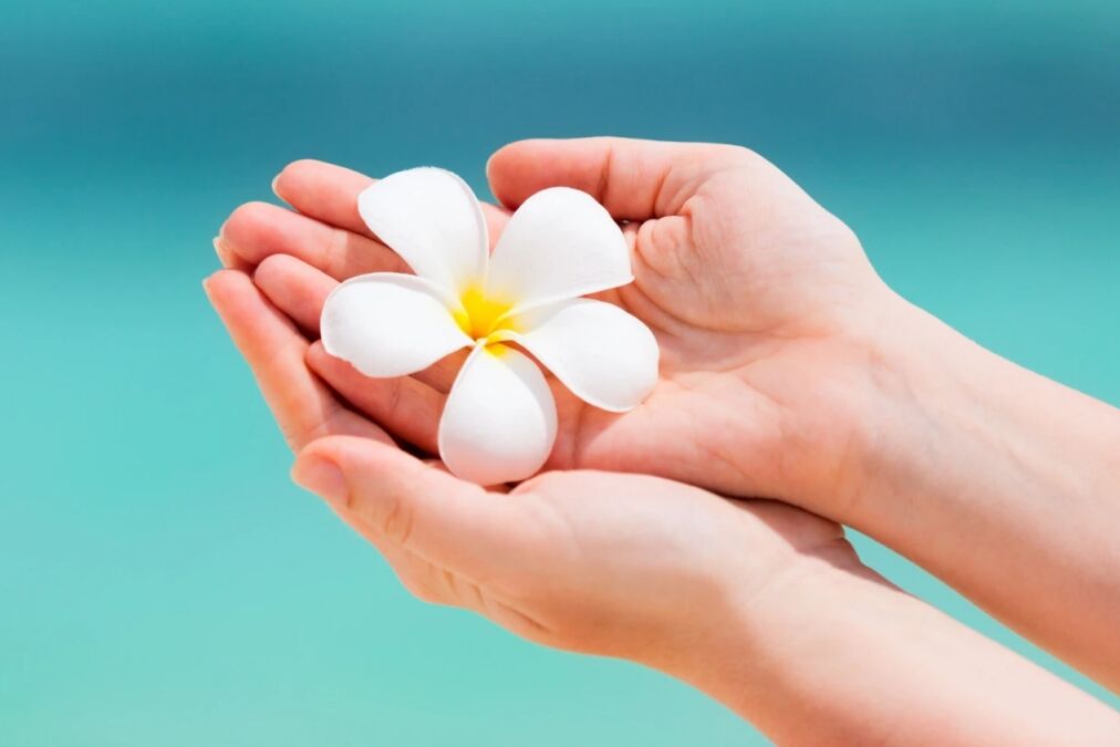 Best Locations for Ash Scattering in Hawaii