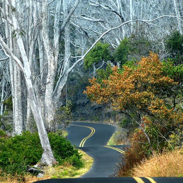 High Country Adventure - Exclusive Mauna Loa Volcano Tour