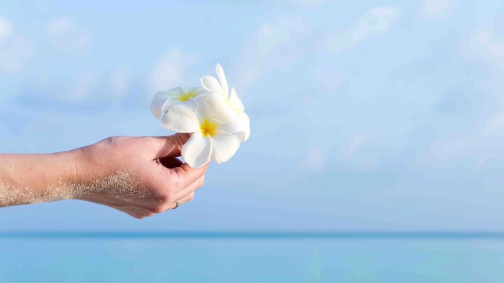 Best Locations for Ash Scattering in Hawaii