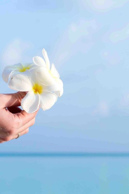 Best Locations for Ash Scattering in Hawaii