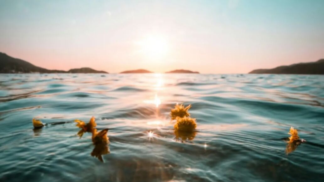 Eco-Friendly Ways to Scatter Ashes in Hawaii