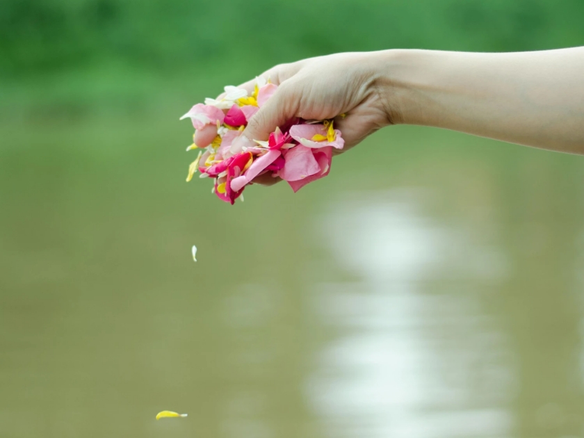 Eco-Friendly Ways to Scatter Ashes in Hawaii