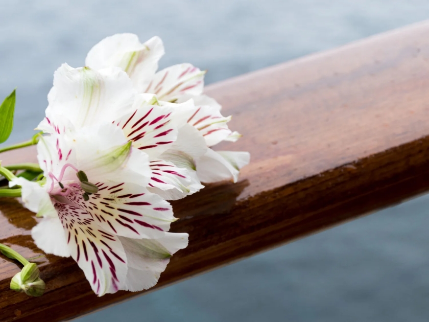 Spiritual Healing & Closure: The Meaning Behind Ash Scattering in Hawaii