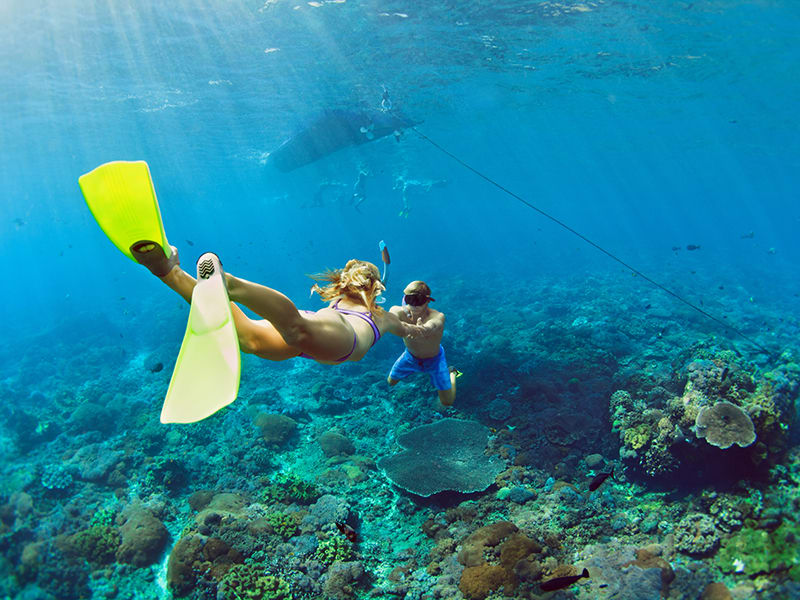 Kona Morning Makalawena Snorkeling Cruise to Puu Alii Bay - Ocean Encounters