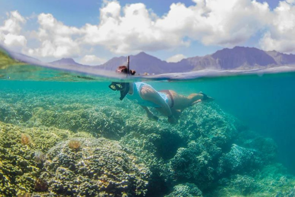 snorkeling in crystal clear waters